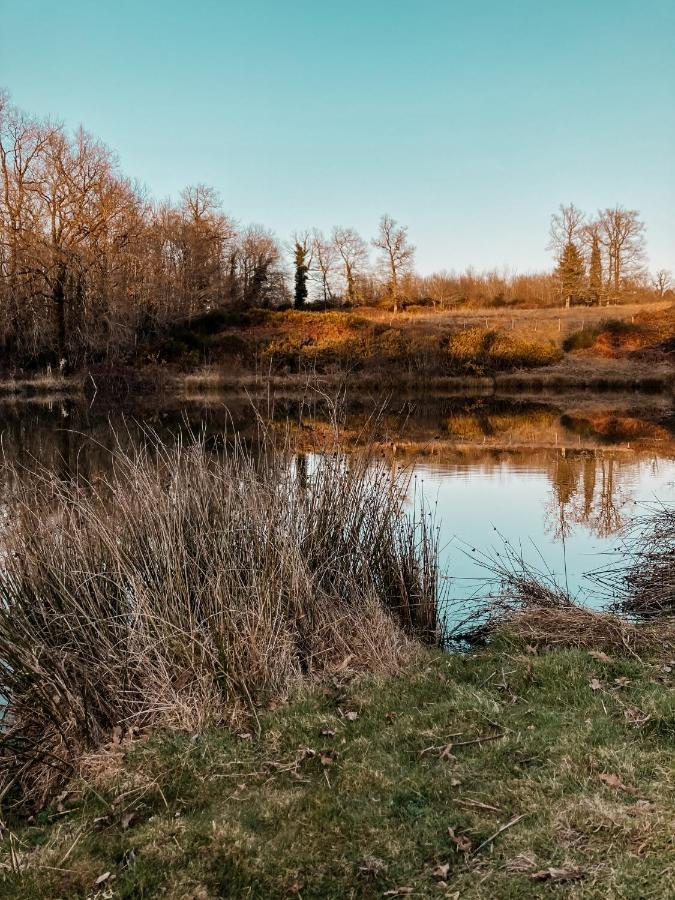 La Ferme Du Pont De Maumy, Cabane Au Bord De L'Etang Et Bain Nordique Busserolles Exteriör bild
