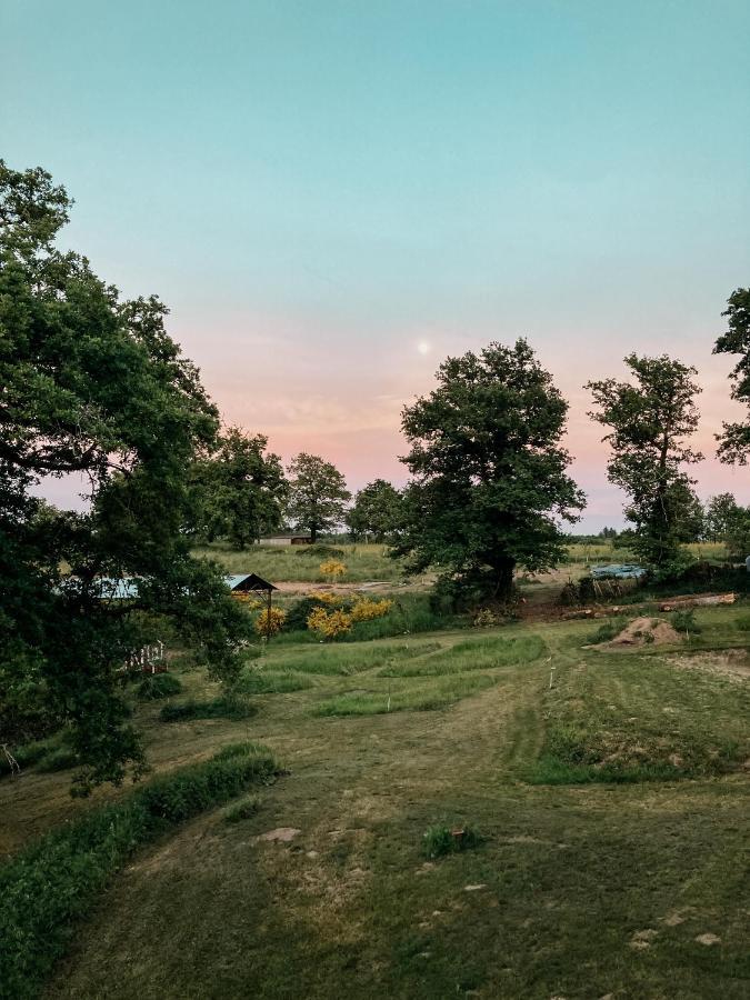 La Ferme Du Pont De Maumy, Cabane Au Bord De L'Etang Et Bain Nordique Busserolles Exteriör bild