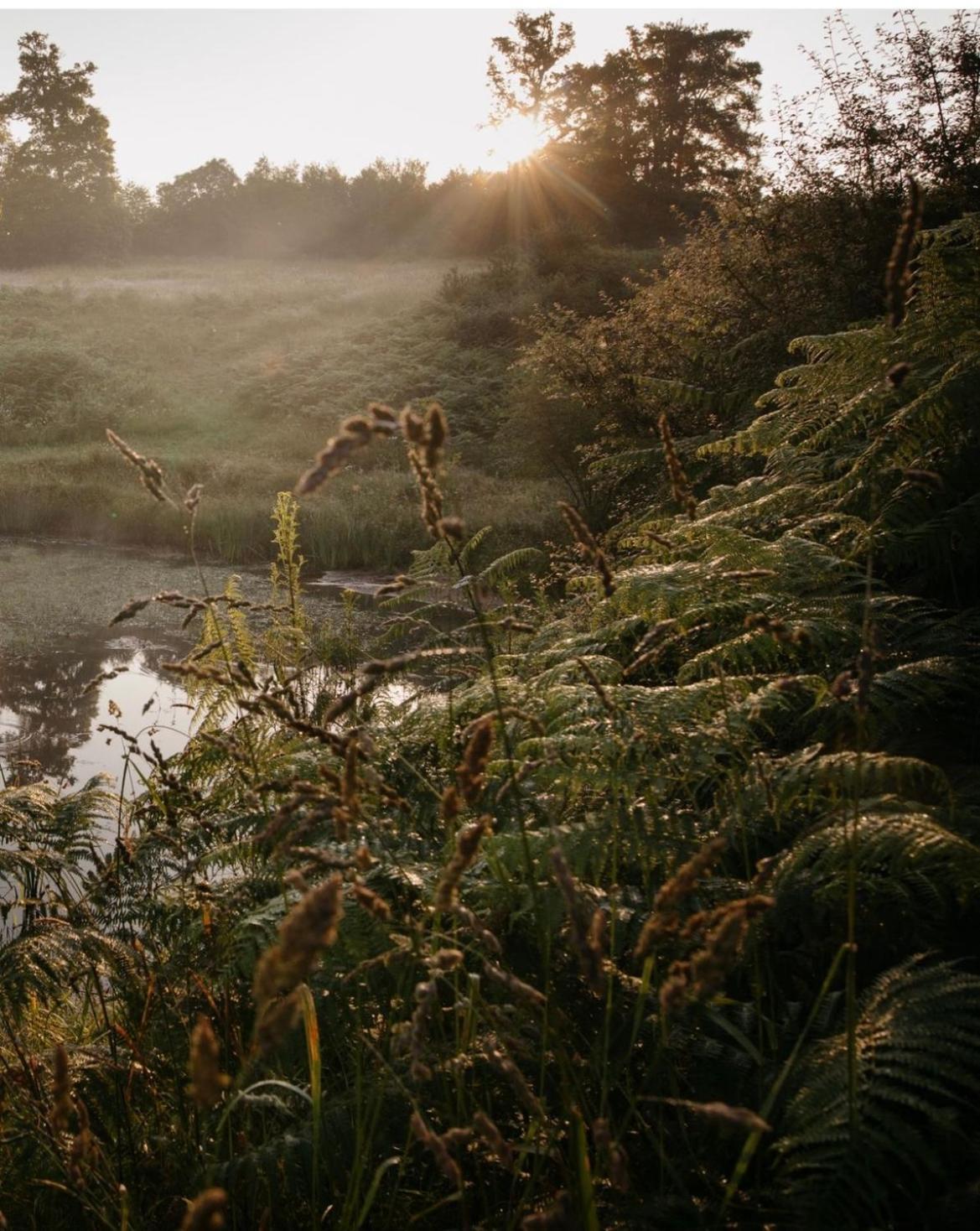 La Ferme Du Pont De Maumy, Cabane Au Bord De L'Etang Et Bain Nordique Busserolles Exteriör bild