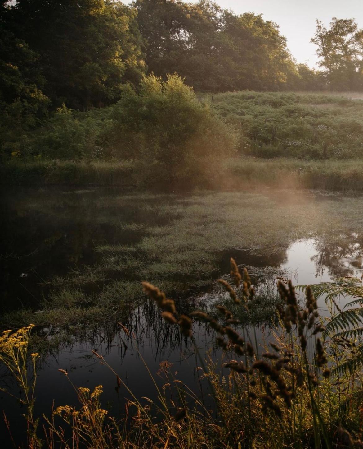 La Ferme Du Pont De Maumy, Cabane Au Bord De L'Etang Et Bain Nordique Busserolles Exteriör bild